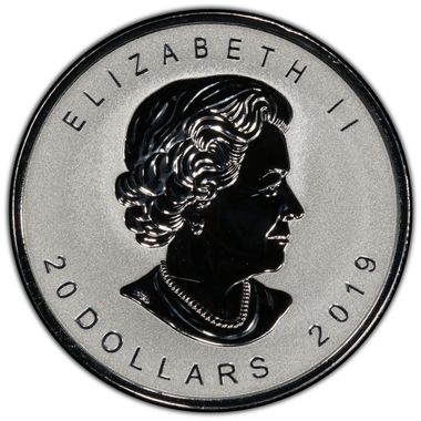 Cert 41341856 - Coin Image