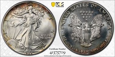 1988 $1 Silver Eagle MS67