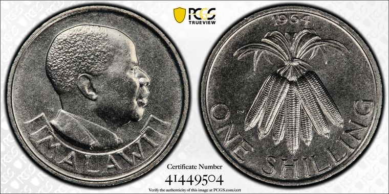 Cert 41449504 - Coin Image