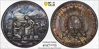 1880 Medal Paysandu Dept. Fair Expo Silvered Ae SP58