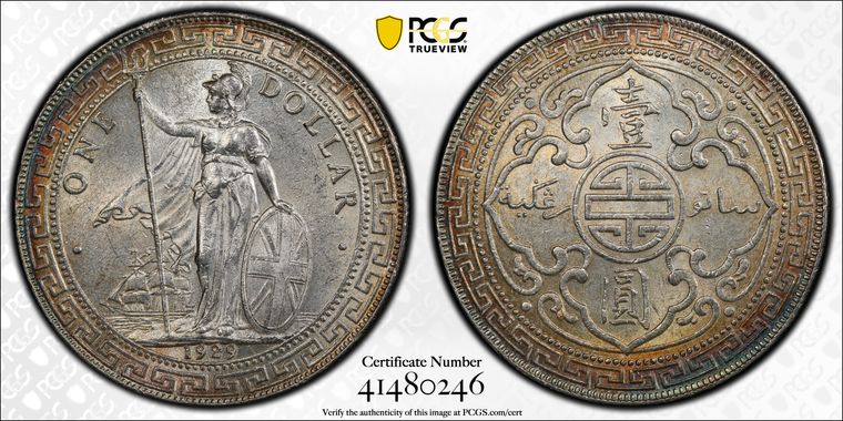 Cert 41480246 - Coin Image