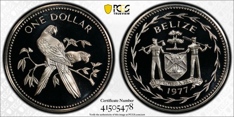 Cert 41505478 - Coin Image