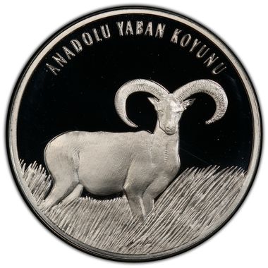 Cert 41545561 - Coin Image