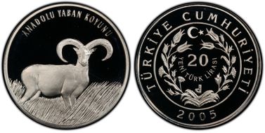 2005 20 L Anatolian Mouflon PR69DCAM