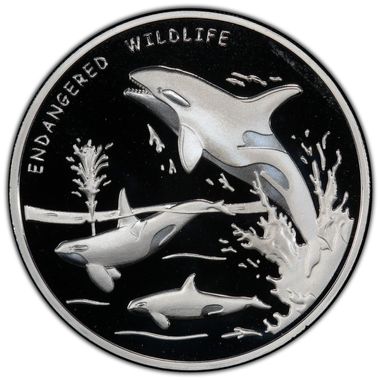 Cert 41549272 - Coin Image