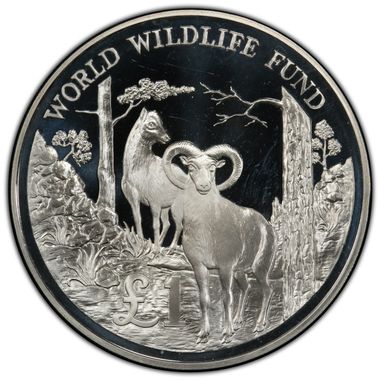 Cert 41549357 - Coin Image