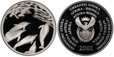 2001 2 Rand Dolphins PR68DCAM