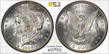 1888-S $1 VAM 13, Gouged Eagle MS63