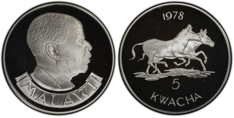 Cert 41650559 - Coin Image