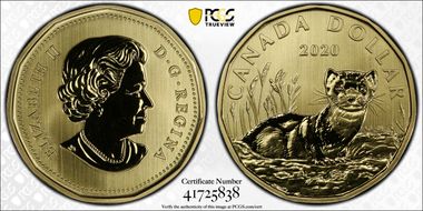 2020 $1 Black-footed Ferret SP69