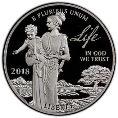 Cert 41855419 - Coin Image