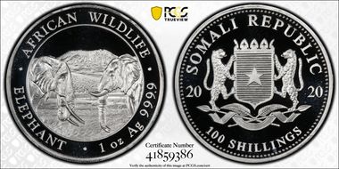 2020 100 S African Elephant Ag MS69