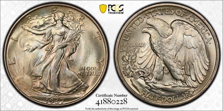 Cert 41880228 - Coin Image