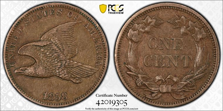 Cert 42019305 - Coin Image