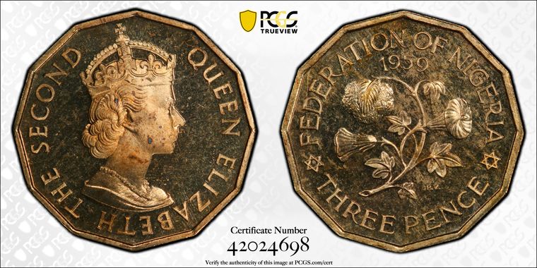 Cert 42024698 - Coin Image
