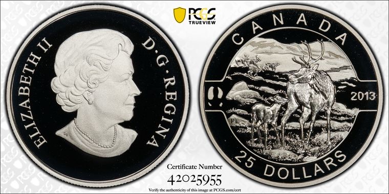 Cert 42025955 - Coin Image