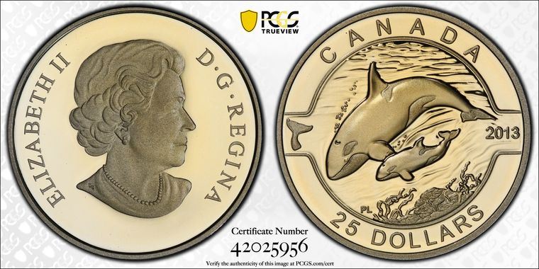 Cert 42025956 - Coin Image