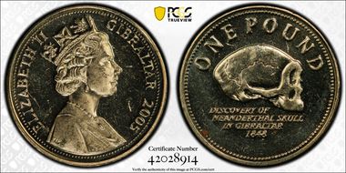 2005 £1 Neanderthal Skull MS64