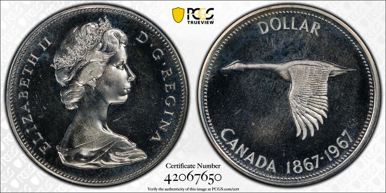 Cert 42067650 - Coin Image