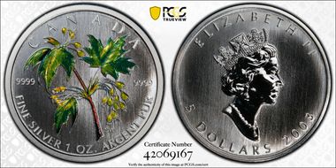 2003 $5 Summer Colorized MS66