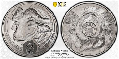 2021 5 Rand Big Five- Buffalo First Strike MS70