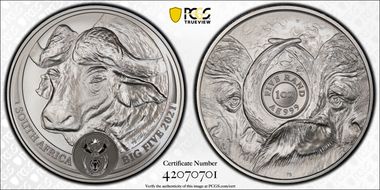 2021 5 Rand Big Five- Buffalo First Strike MS69