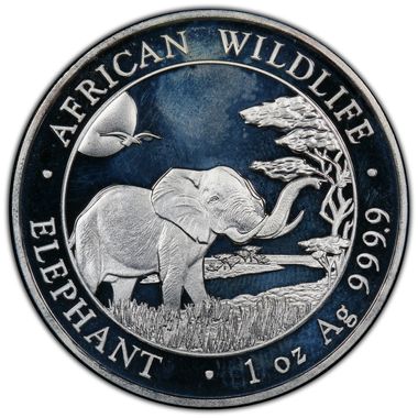 Cert 42076454 - Coin Image