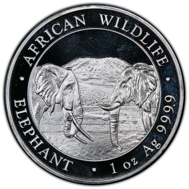 Cert 42076455 - Coin Image