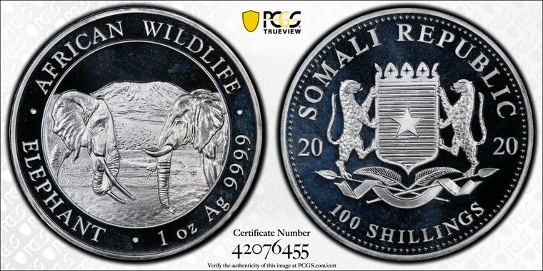 Cert 42076455 - Coin Image