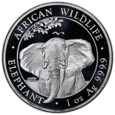 Cert 42076456 - Coin Image