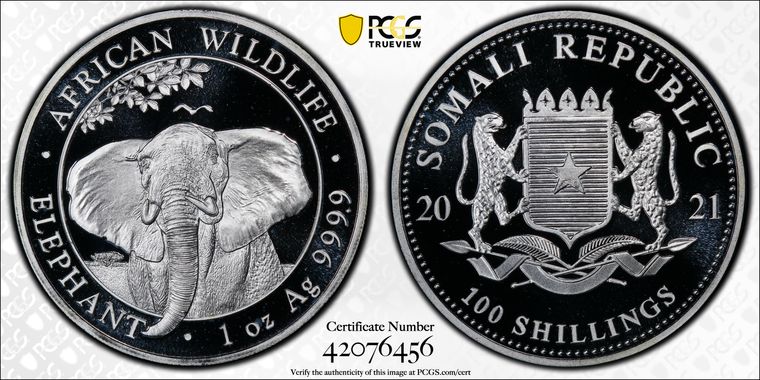 Cert 42076456 - Coin Image