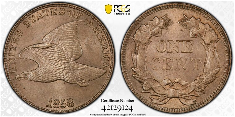 Cert 42129124 - Coin Image