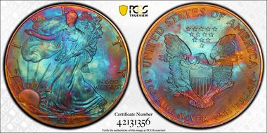 1996 $1 Silver Eagle MS69