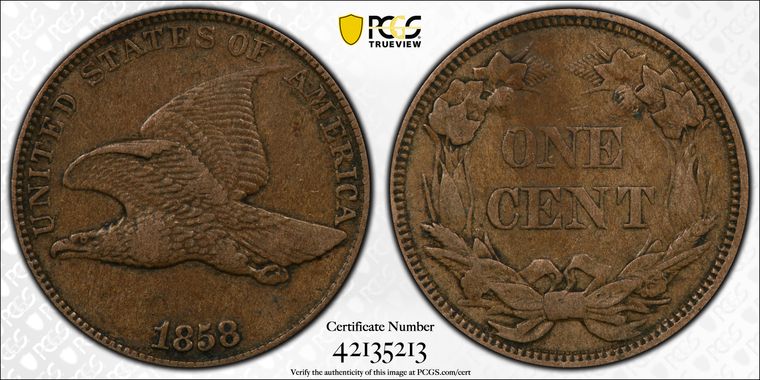 Cert 42135213 - Coin Image