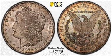1878-CC $1 VAM 11, Lines in Wing MS63