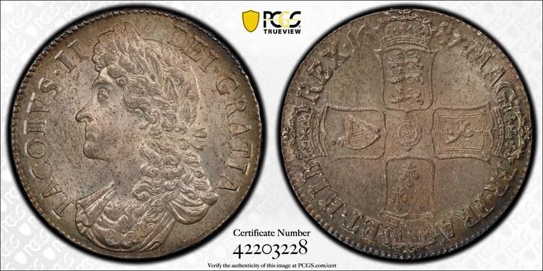 Cert 42203228 - Coin Image