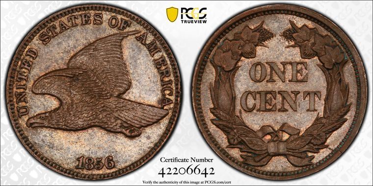 Cert 42206642 - Coin Image