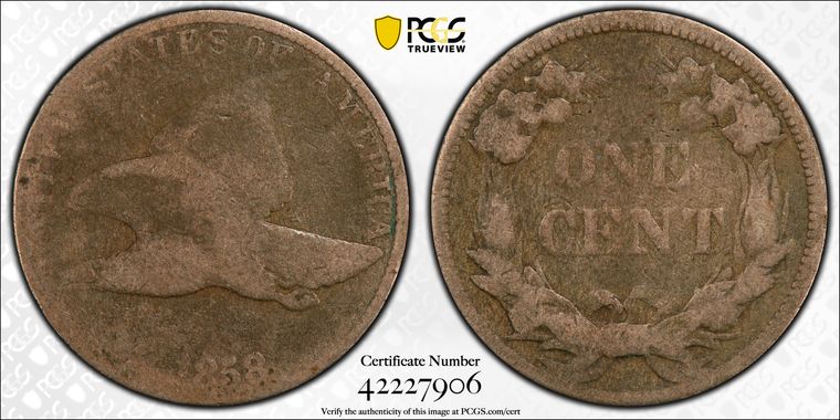 Cert 42227906 - Coin Image