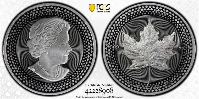 Cert 42228908 - Coin Image