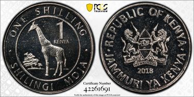 2018 Shil KM-45 MS65