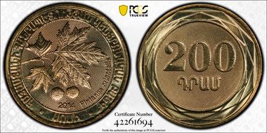 2014 200 Dr Platanus Orientalis MS68