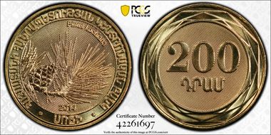 2014 200 Dr Pinus Kochiana MS69