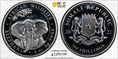 2021 100 S African Elephant Ag MS68