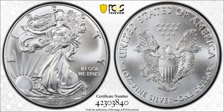 Cert 42303840 - Coin Image