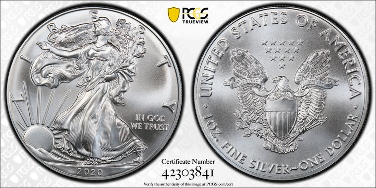 Cert 42303841 - Coin Image