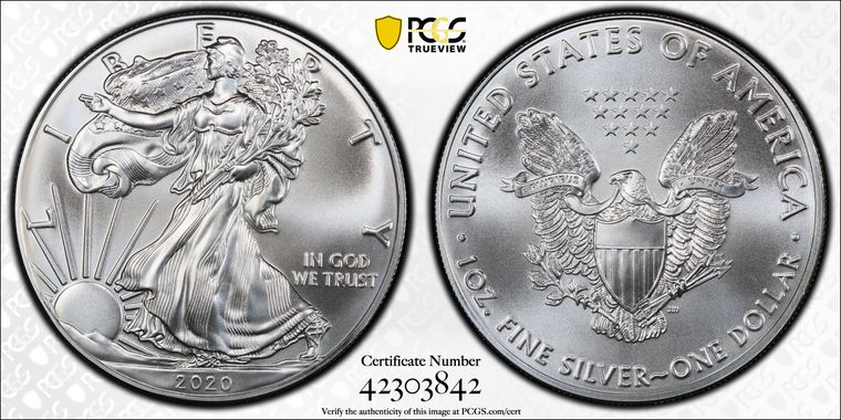 Cert 42303842 - Coin Image