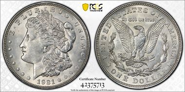 1921 $1 Morgan, Pitted Reverse MS62