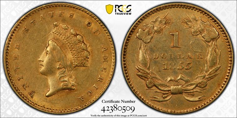 Cert 42380509 - Coin Image