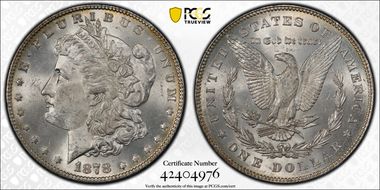 1878 7TF $1 Reverse of 1878 MS64