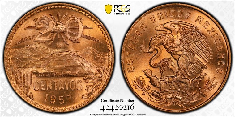 Cert 42420216 - Coin Image